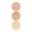 TEINT CORRECTOR PALETTE NEUTRAL TONES X3