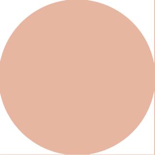 13201-CORECTOR-TEN-Beige-1